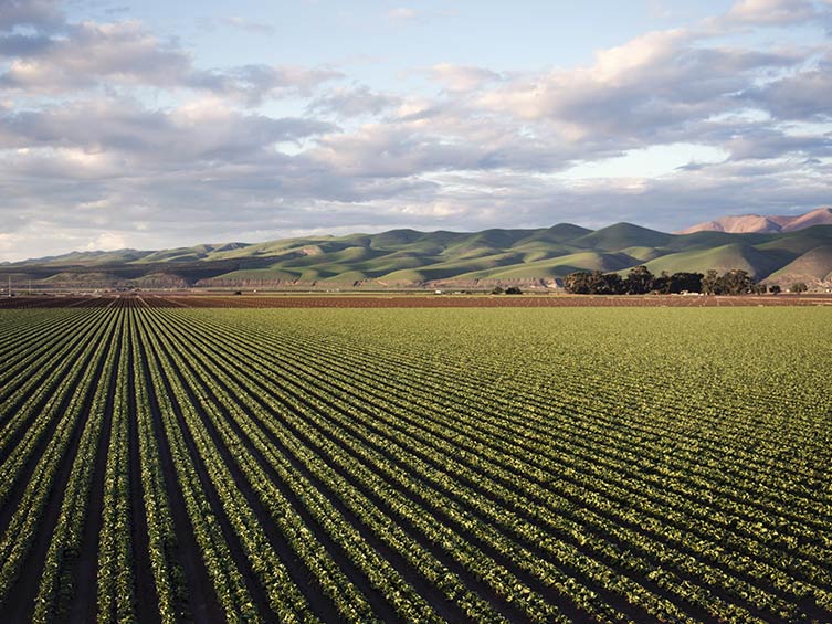 Agricultura